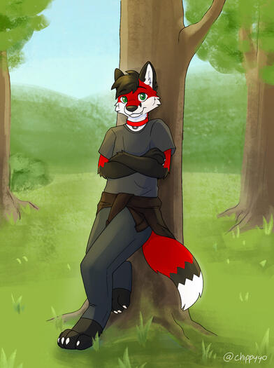 $65 full body for fauxhillfurry